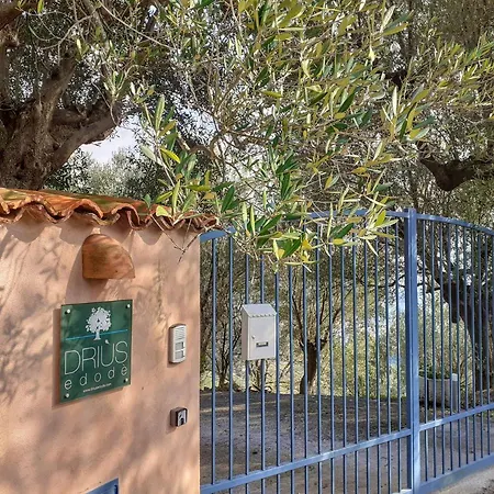 Driùs Edodè - Bed & Breakfast Torraca