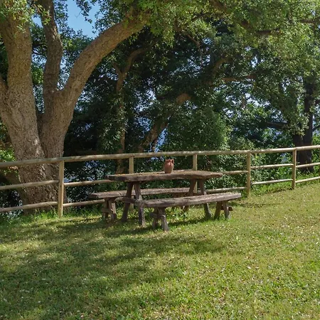 Bed & Breakfast Driùs Edodè -