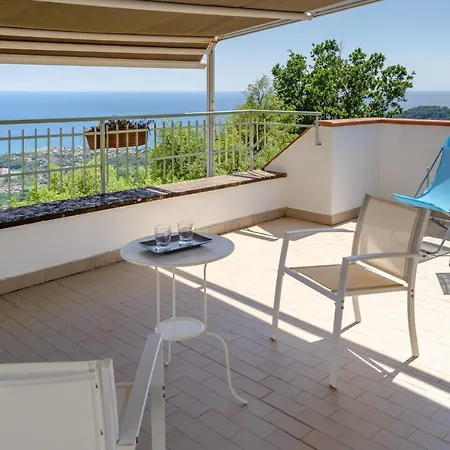 B&B Drius Edode - *