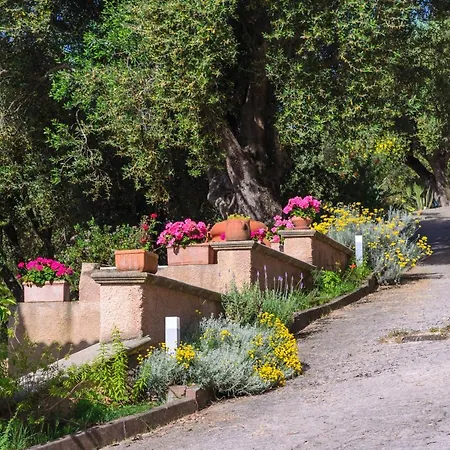 Driùs Edodè - 3* Torraca