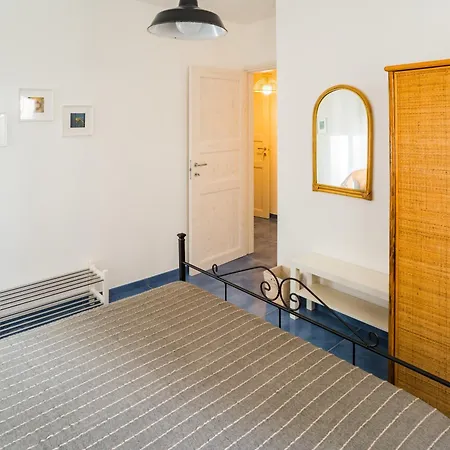 B&B Drius Edode - *