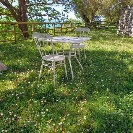 Driùs Edodè - Couette-café Torraca