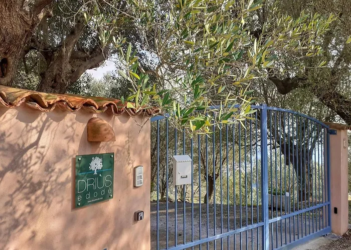 Drius Edode - Bed & Breakfast Torraca