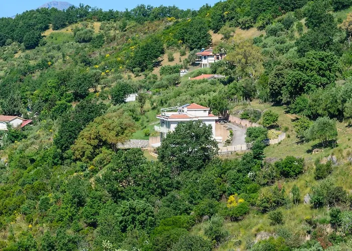 Bed & Breakfast Drius Edode -