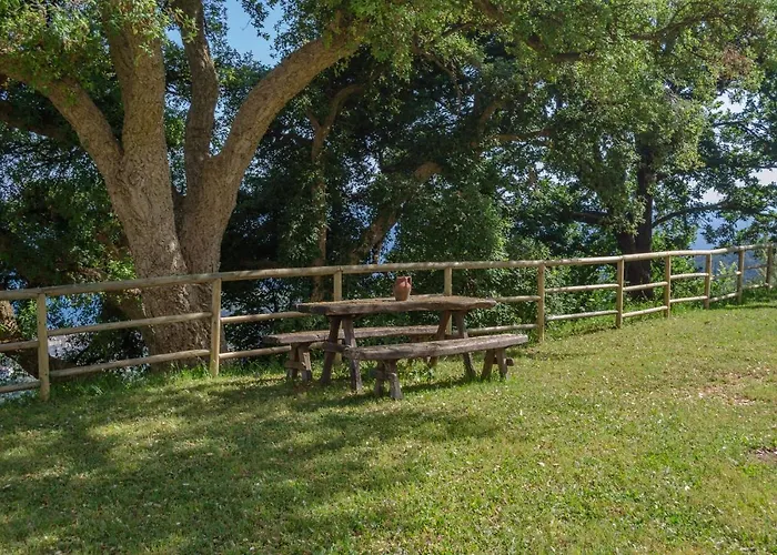 Bed & Breakfast Drius Edode -