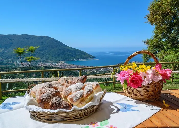 Drius Edode - 3* Torraca