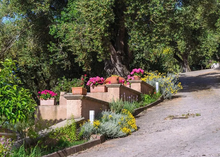 Drius Edode - 3* Torraca