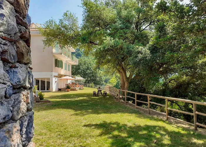 Drius Edode - Torraca