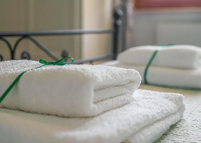 Drius Edode - Torraca