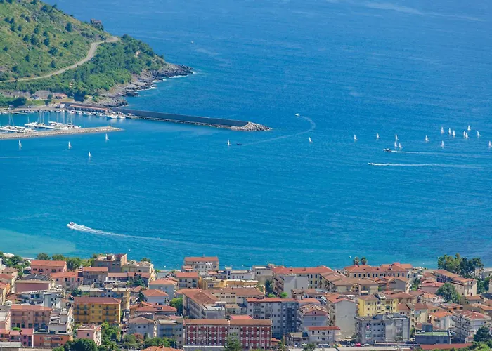 Drius Edode - Torraca