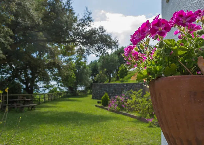 Bed & Breakfast Drius Edode - 3*