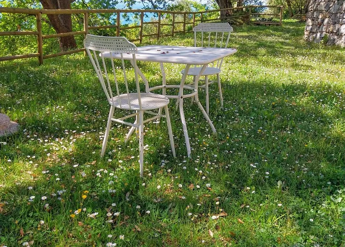 Drius Edode - Bed & Breakfast Torraca