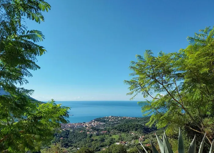 Bed & Breakfast Drius Edode - 3*